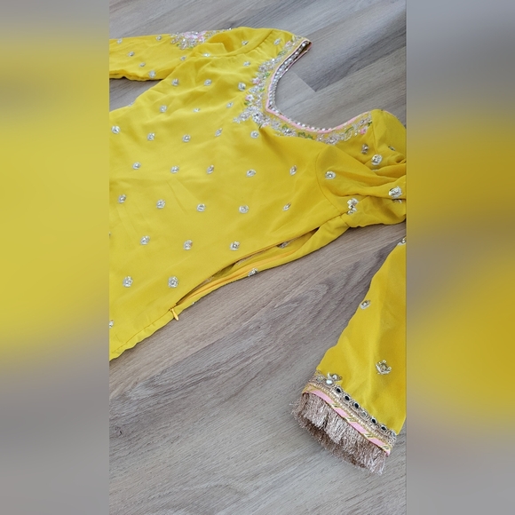 Yellow and Pink Embellished Palazzo Pants - Picture 8 of 9